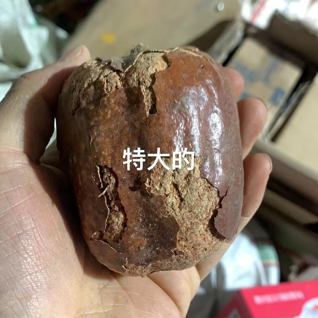 菩提果原果批发