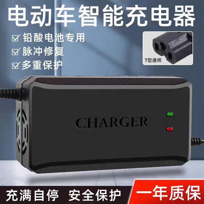 雅迪电动车充电器48v20安