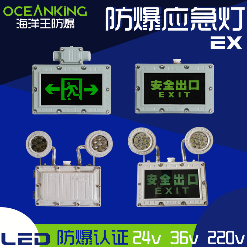 双头应急照明灯220v