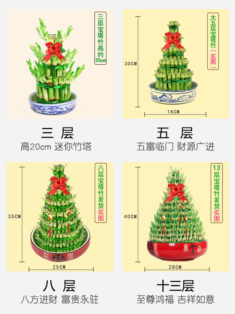 适合客厅摆放的水培绿植