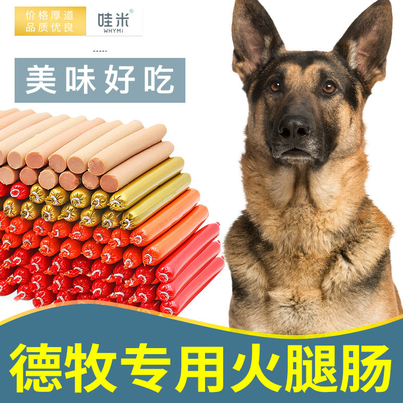 狗狗的零食 中型犬