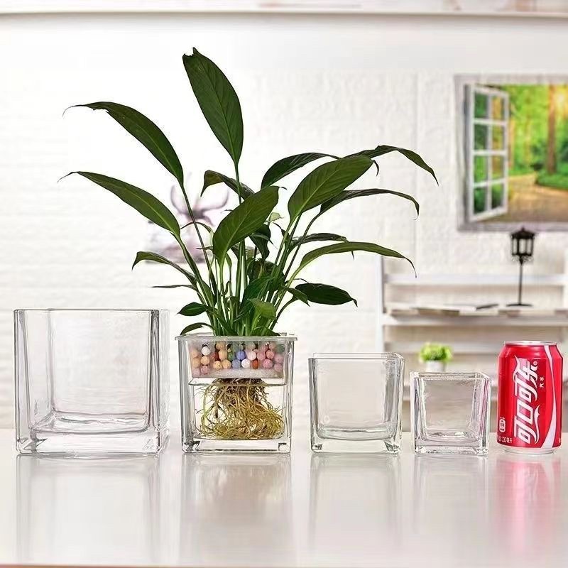 花瓶玻璃透明水养插花方形