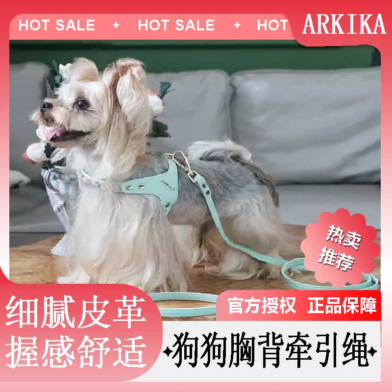 狗狗牵引绳茶杯犬