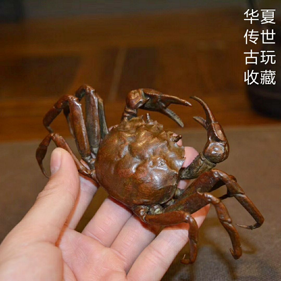 小螃蟹茶宠