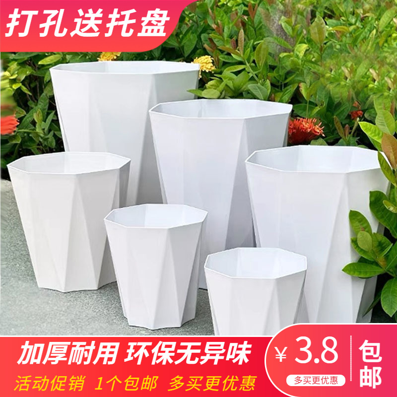 无孔塑料花盆水培