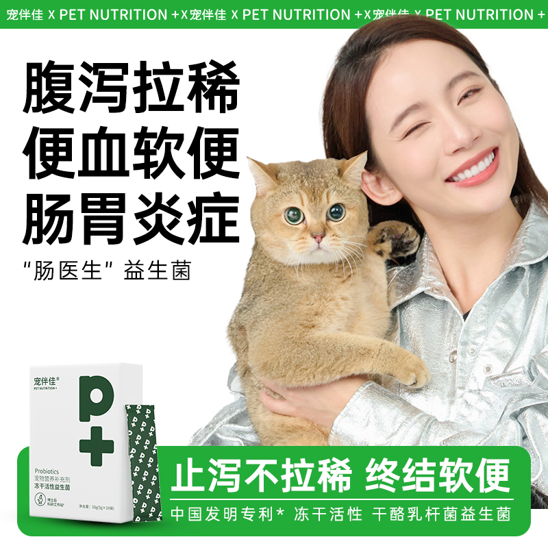 猫咪益生菌助消化