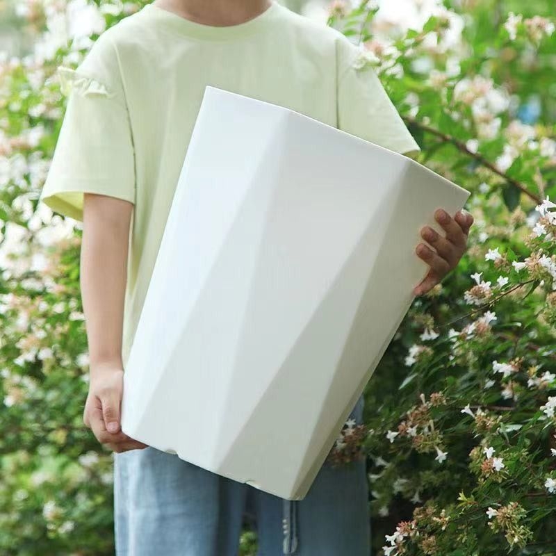 绿植大花盆客厅