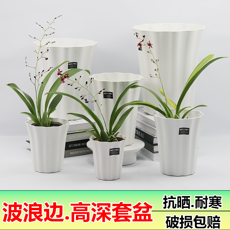 绿植大花盆客厅