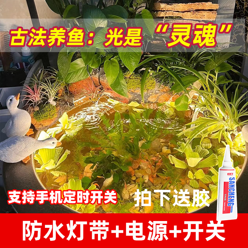 鱼缸水底灯led防水