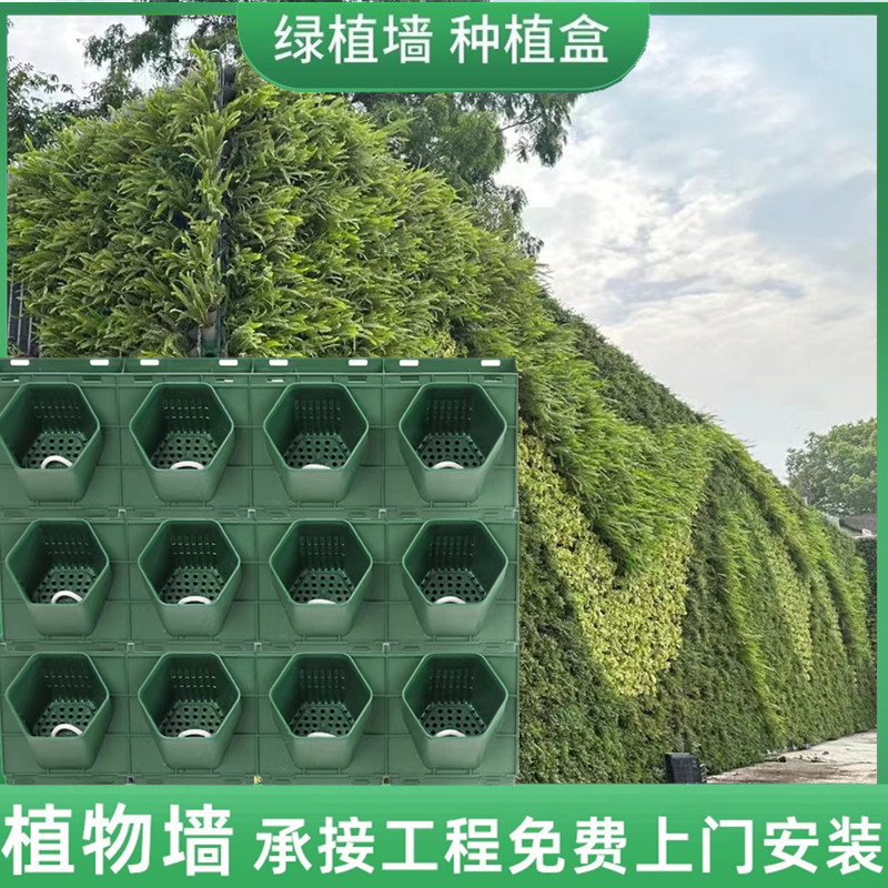 绿植墙种植盒