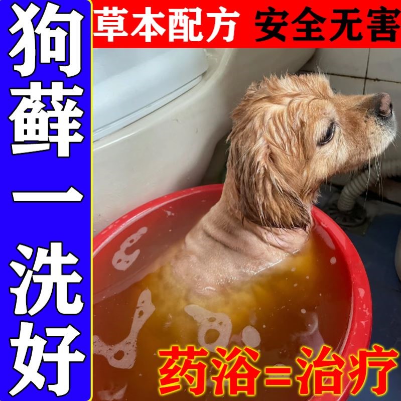 治疗狗狗皮肤病的药