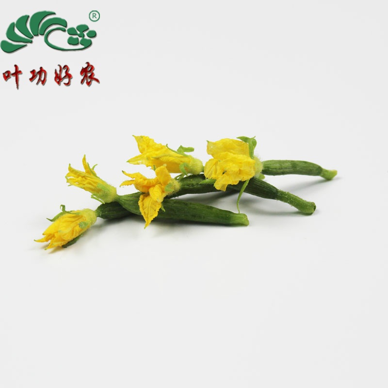 新鲜小黄瓜花