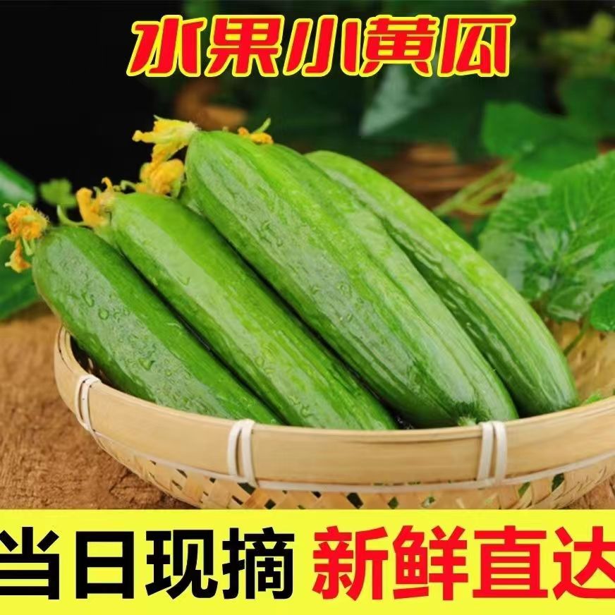 小黄瓜花新鲜