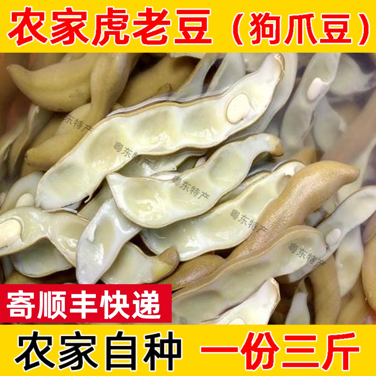 新鲜蔬菜 豆皮