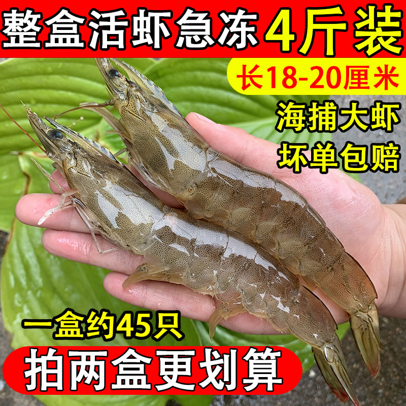 虾鲜活海鲜水产超大虾