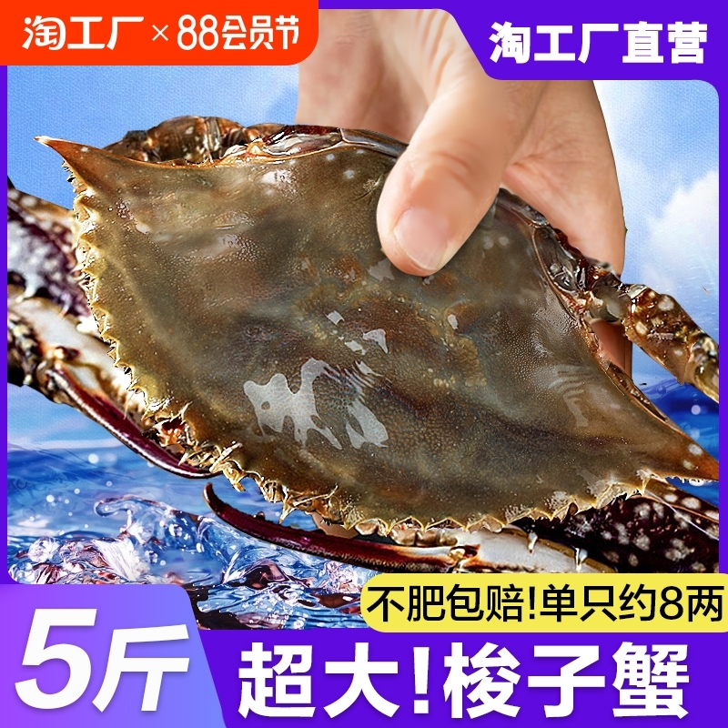 鲜活海鲜