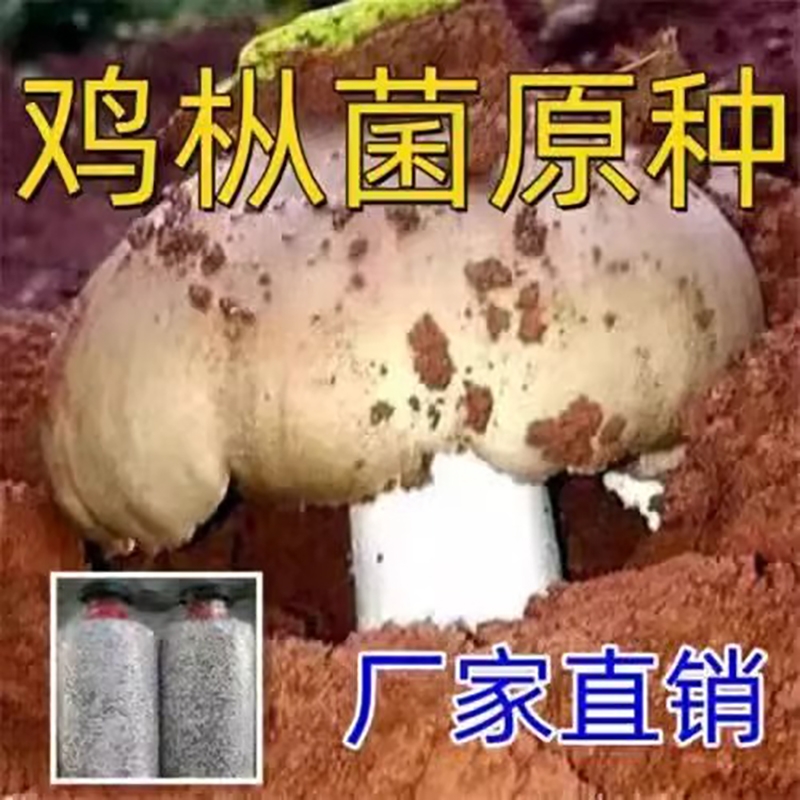 菌菇种植菌包