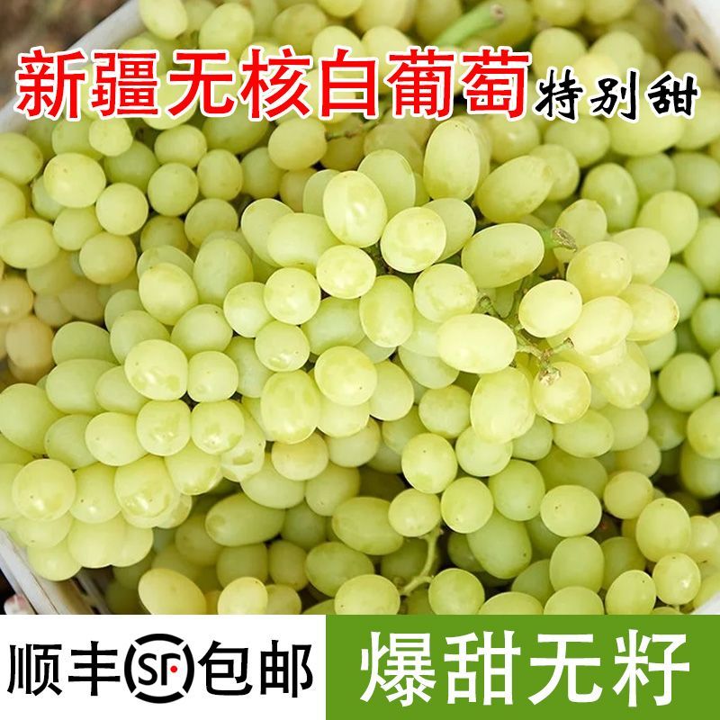 新疆吐鲁番无核白葡萄当季新鲜水果