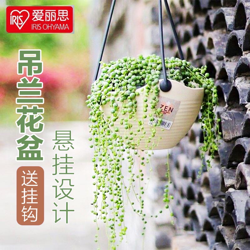 壁挂 塑料花盆