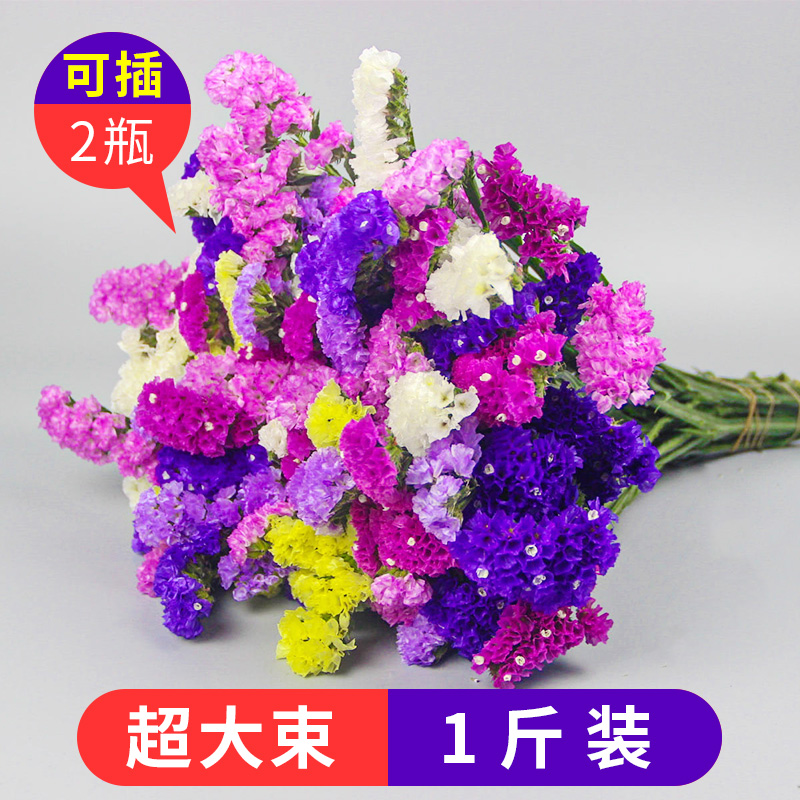 天然干花真花