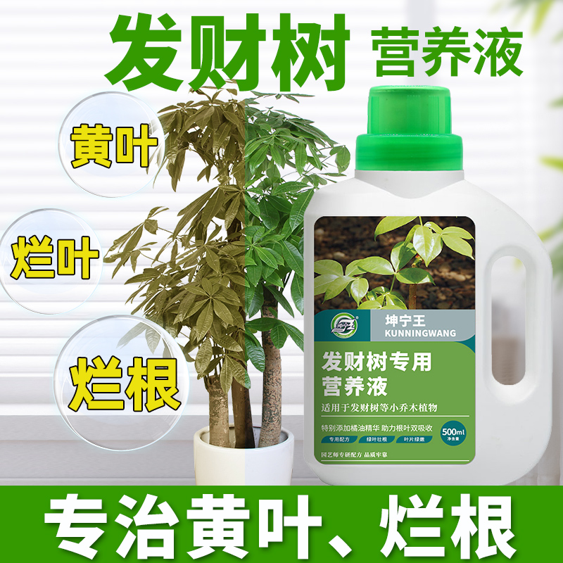 发财树盆栽肥料