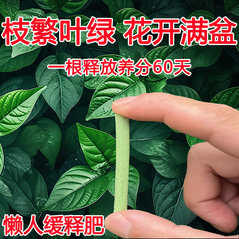 发财树盆栽肥料